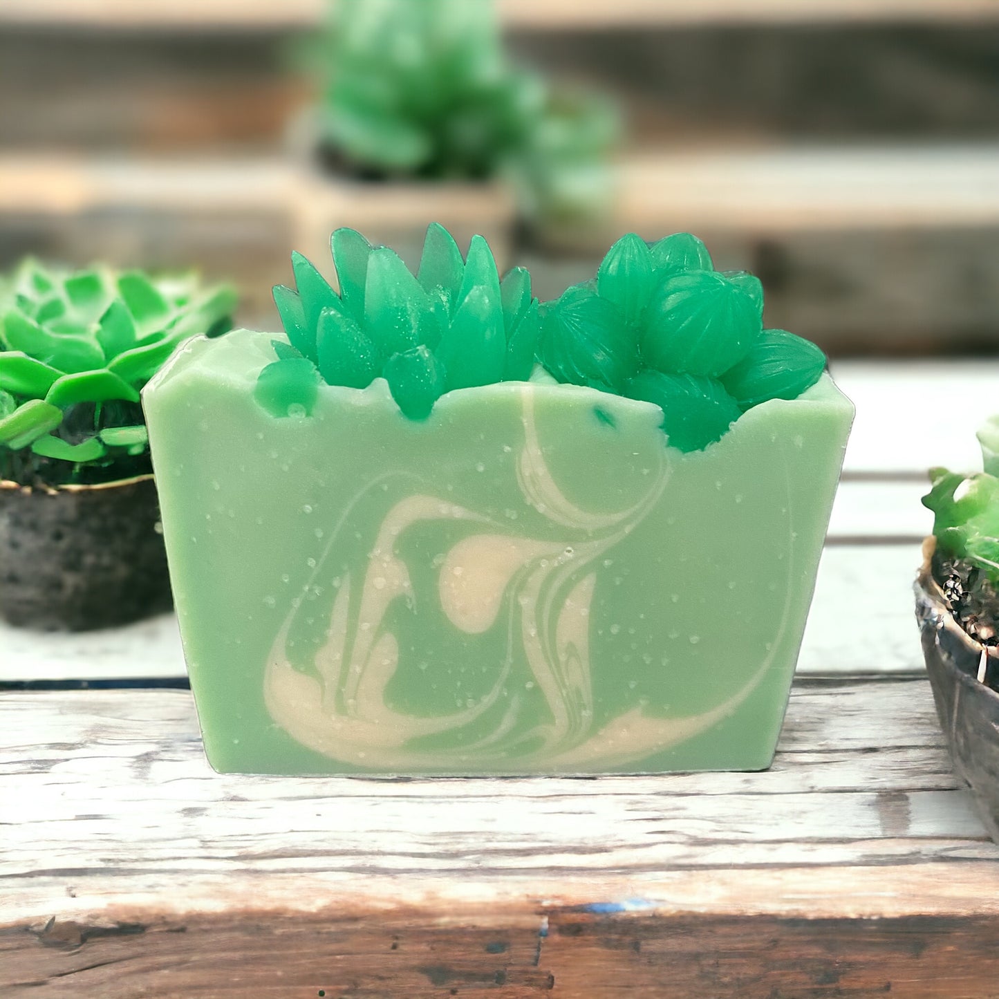 Succulent Garden Bar Soap (1038)